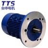 TTS电机厂现货直销 550W包装机械设备用 铝壳电机