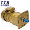 台湾马达厂大量供应 200W影音设备用 齿轮减速马达