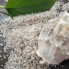 上海天然石英砂滤料 1-2mm污水处理用水洗石英砂 优质海砂