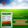 小麦除草剂 二甲四氯 双氟 唑草酮 有效防除阔叶杂草