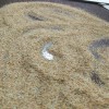 青岛万鸿天然海沙 优质圆粒海砂 儿童娱乐砂 人造沙滩景观砂