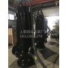 专供应ZLB立式轴流泵厂家