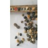 河南鹅卵石 郑州鹅卵石4-12mm电厂垫层专用鹅卵石