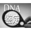 纳泓亲子DNA鉴定
