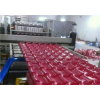 山东优质的PVC树脂瓦生产线_塑料波浪瓦生产线厂家直销
