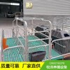汉中市自动化养猪设备-母猪产床-牧泽