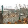武汉养殖护栏网厂家放养圈地铁丝网供应价格