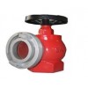 室内消防栓 减压稳压消火栓 普通室内消防栓