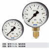 WIKA 111.10,111.12压力表